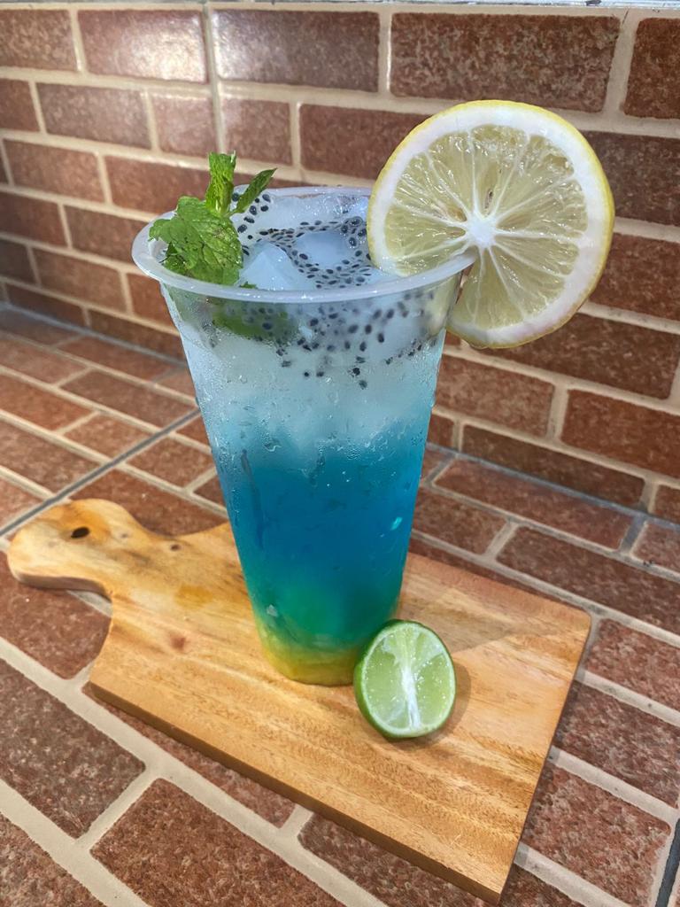 DiveintoBikiniBottom